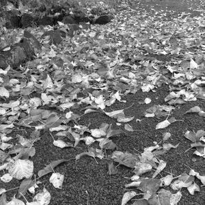 Meet your Posher, Emili